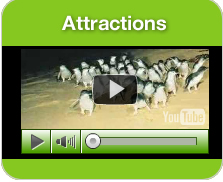 Phillip Island Attractions