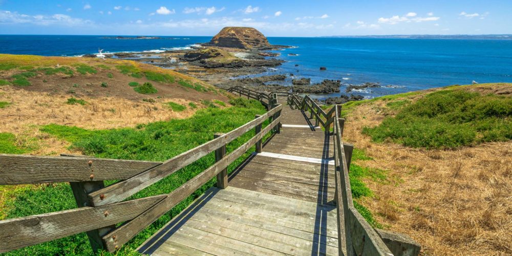 Phillip Island Nature Park - walks on phillip island