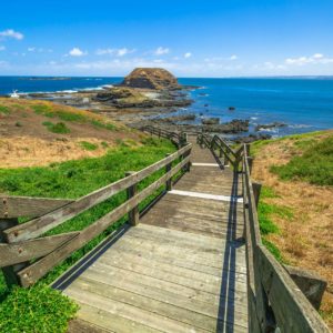 Phillip Island Nature Park - walks on phillip island