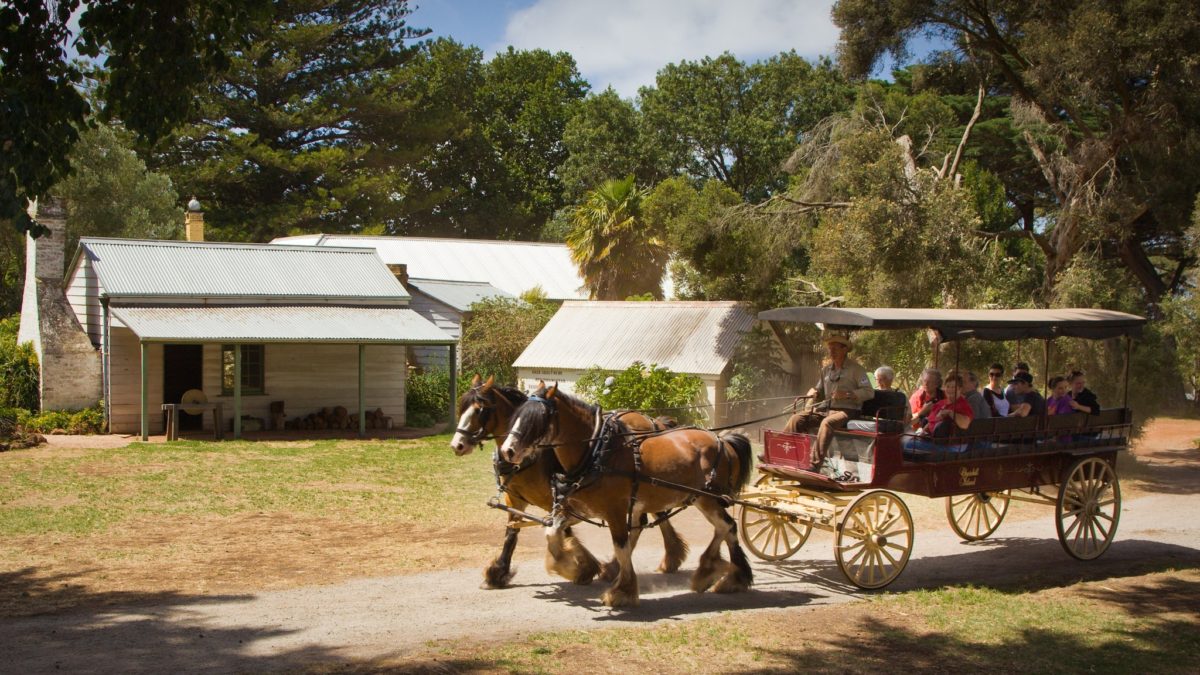 Churchill Island, Visit Victoria, Phillip Island Nature Parks, Phillip Island kids activity